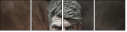64035184