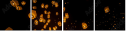 64122199