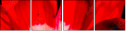 64202605