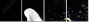 64347544