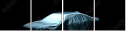64386912