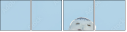 64588759