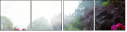 64687273