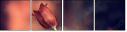 64748885