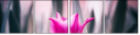 64764668