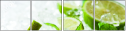 64781640