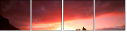 64837956