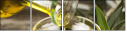 65132518
