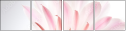 65472391
