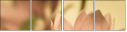 65771321