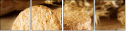65896477