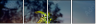 65958619