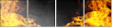 66150083