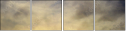 66444580