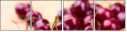 66523146