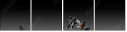 66645644