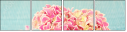 66763051