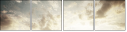 66838334