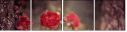 66879478