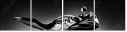 66895628