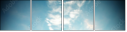 66914690