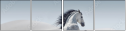 67039341