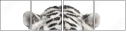 67172414