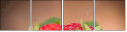 67189229