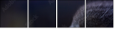 67261784