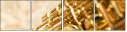 67355058