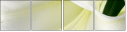 67444338