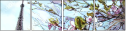67495105