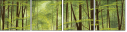 67585289