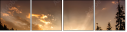 67616317