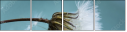 67938028