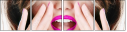 67951529