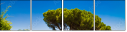 67960618