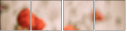 67999956