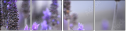 68001628