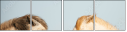 68105257
