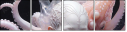 681456461