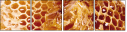 68182564