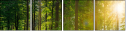 68271781