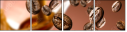 68334936