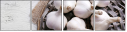 68423172