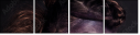 68459165