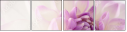 68475939