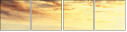 68597840