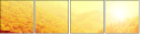 68616256