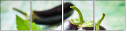 68628589